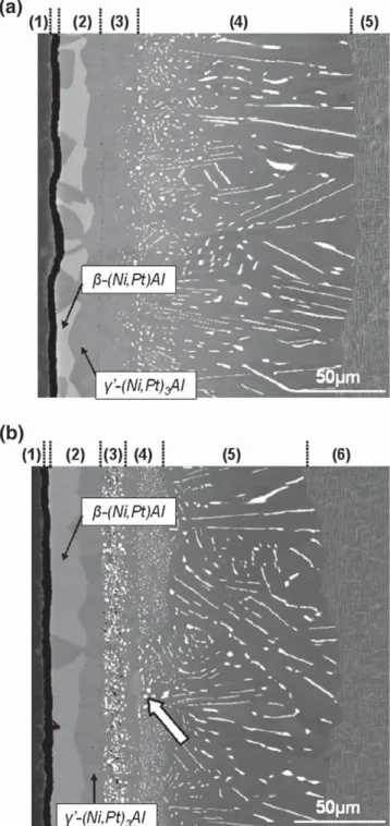 Fig. 4 shows the evolution of the Al concentration in both systems during this low frequency (long dwell) thermal cycling