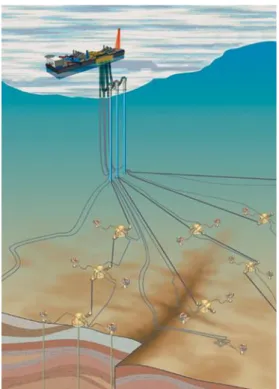 Figure 1: Deep Water Production System 