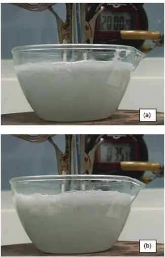 Fig. 3. Photographs during electrocoagulation of milk sample at 0.2 A in the pres- pres-ence of ammonium sulfate at 14 ′ 30 ′′ (a), 16 ′ 30 ′′ at rest (b).