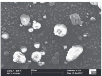 Fig. 1. Micrograph of starch particles.