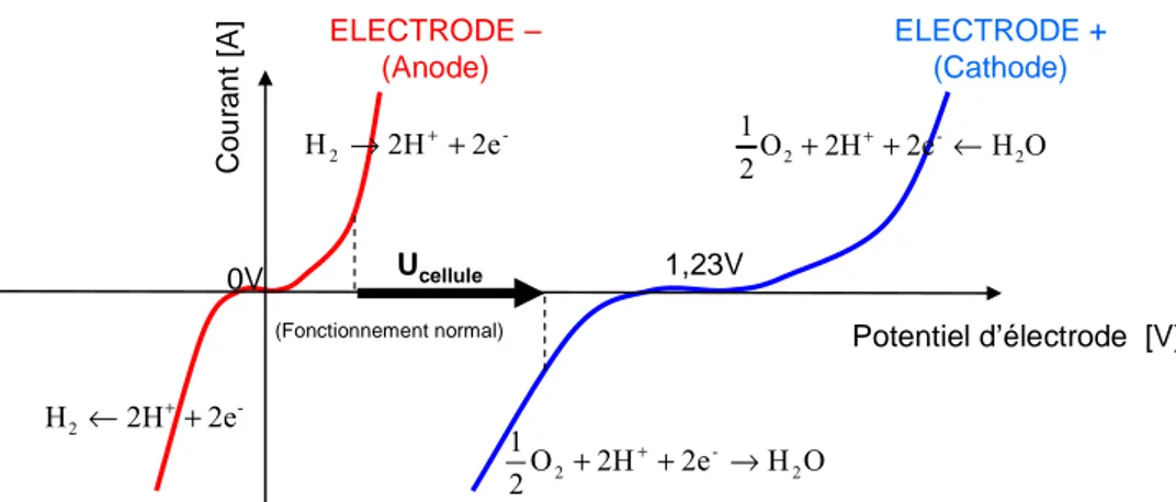 Figure 1-8 : Lois classiques de Butler-Volmer dans le cas d’une pile à combustible. 