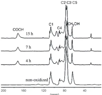 Fig. 8. Kinetics of oxidation of rayon in CO 2 /NO 2 mixtures at 10 MPa and 313 K.