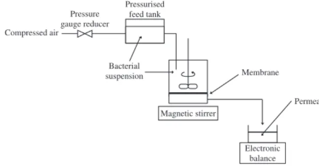 Figure 1 | Experimental setup.