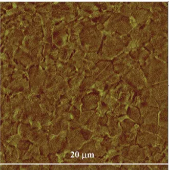 Fig. 4. Evidence by ﬁeld emission gun SEM observations of nanometric copper metal