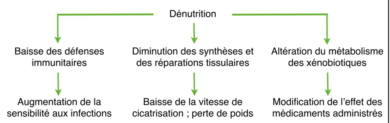 Figure 4 : Conséquences générales d’un état de dénutrition chez un animal malade, d’après (42)