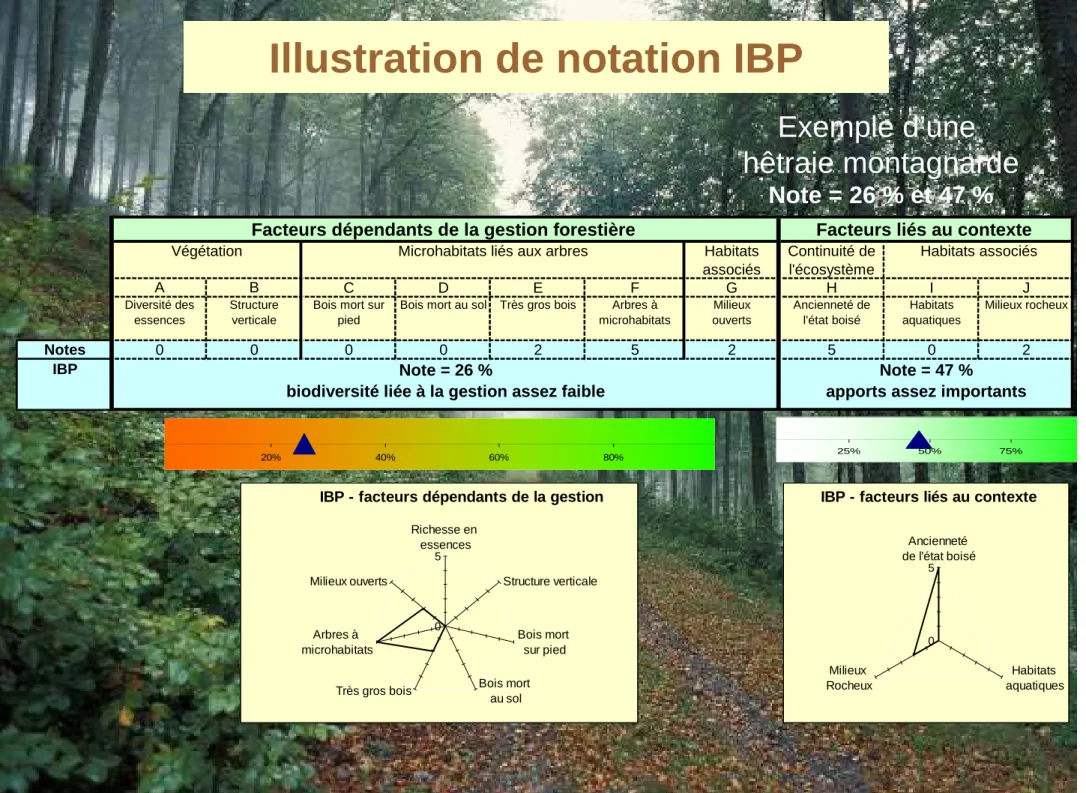 Illustration de notation IBP