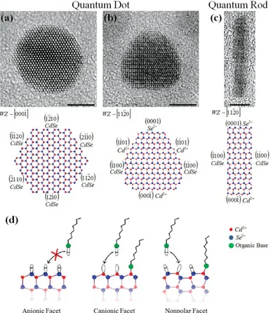 Figure 2.4 An example of surface properties of CdSe nanocrystals. (a), (b) and (c) TEM images of NCs  with different shapes 22  (scale bars are 5 nm) together with atomic models