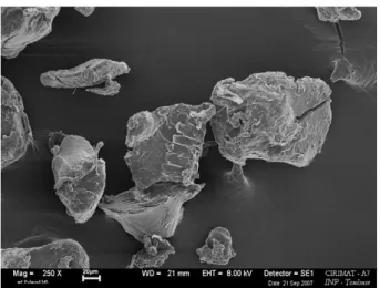 Fig. 1. SEM micrograph of preground polymer particles.