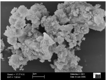 Fig. 3. SEM micrograph of polymer agglomerates.