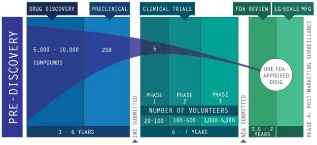 Figure 2. The Drug Discovery Process. Source: [14] 