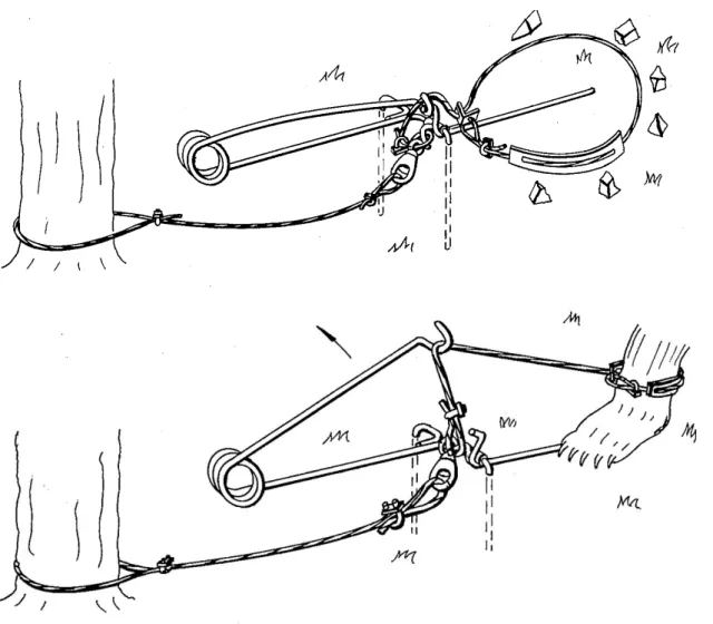 Figure 2 : schéma d’un piège à patte de type Aldrich (8) 