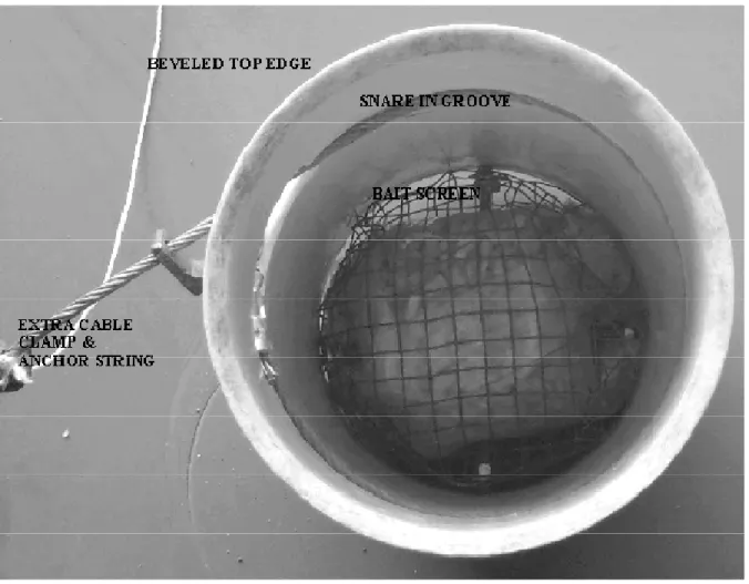 Figure 6 : Schéma d’une autre variante du piège à patte de type Aldrich (3) 