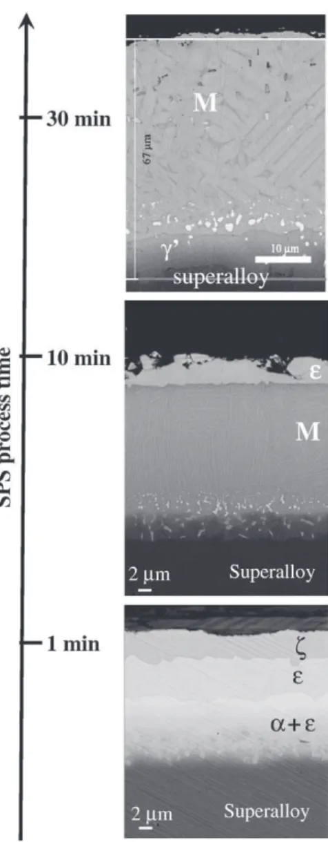 Fig. 7. Microstructure of the aluminide coatings after SPS processing of AM1/10 µm Pt/