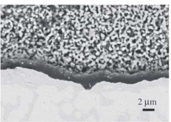 Fig. 13. One step processed SPS TBC system after 300 cycles of 1 h at 1100 °C, showing adherent YSZ top coat (low mass Pt-rich γ/γ′ bond coat) with local edge spallation.