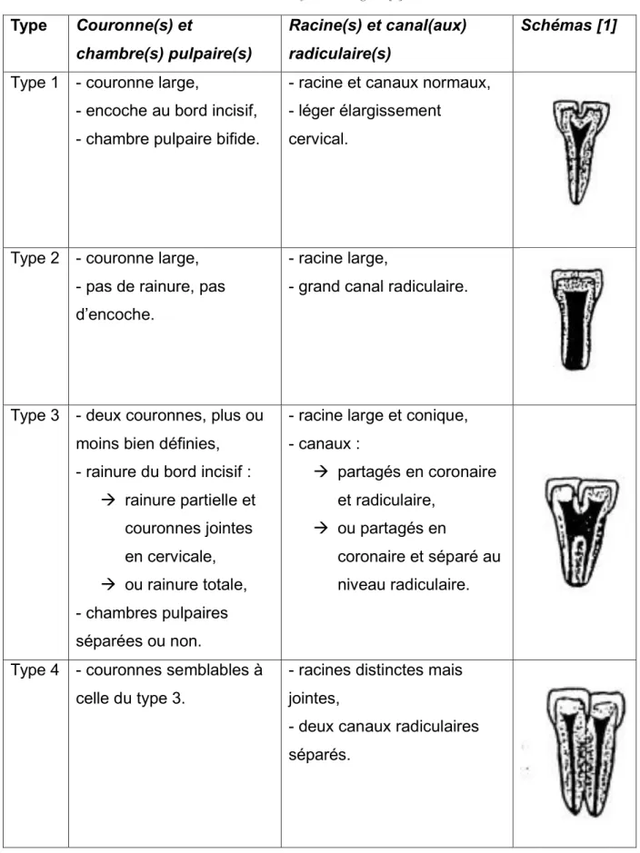 Tableau 1 : classification d’Aguiló [1].  