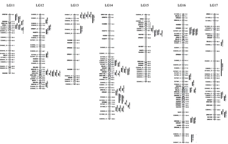 Fig. 2: Continued