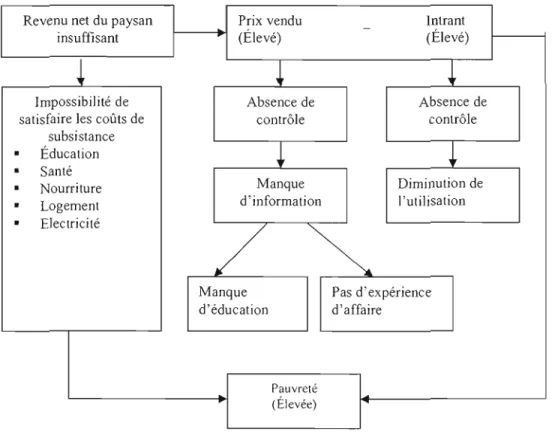 Figure 5.3 Niveau de vie du producteur après la  libéralisation 