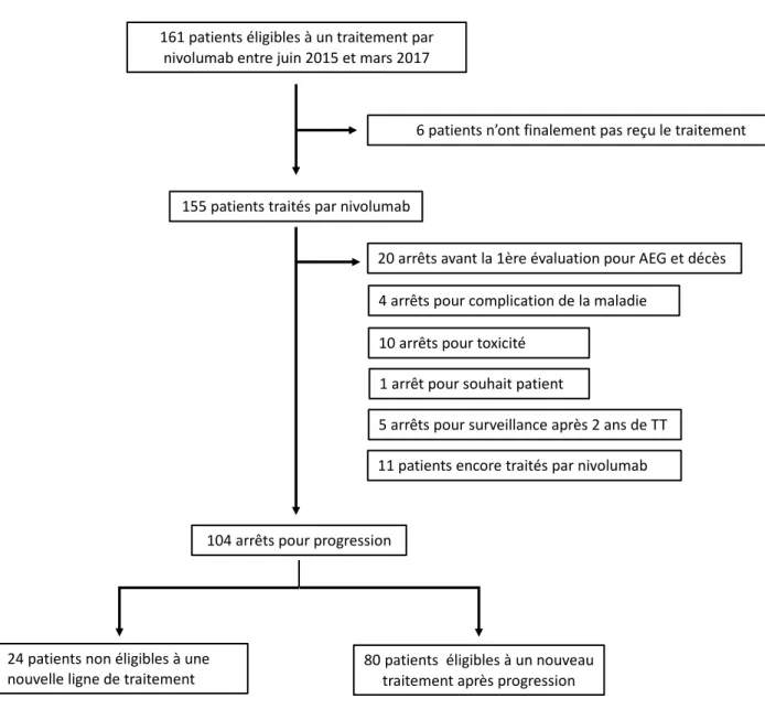 Figure 5 : Diagramme de flux de la population globale 