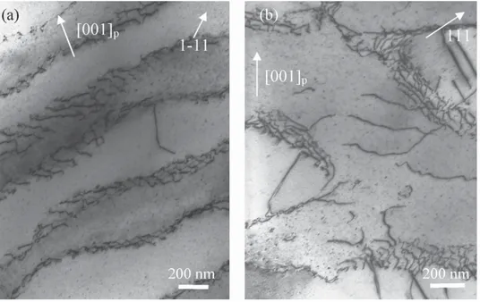 Fig. 5. TEM images showing the morphology of dislocations after creep tests at 1100 ◦ C and 580 N (a) interrupted at the end of the primary stage after 19 h (b) after the failure (70 h)
