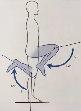 Figure 3. Flexion du genou (d’après [1]) 