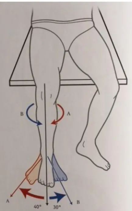 Figure 4. Rotations latérale et médiale (d’après [1]) 