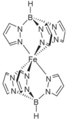 Fig. 1 The schematic structure of [Fe(HB(pz) 3 ) 2 ] (1).