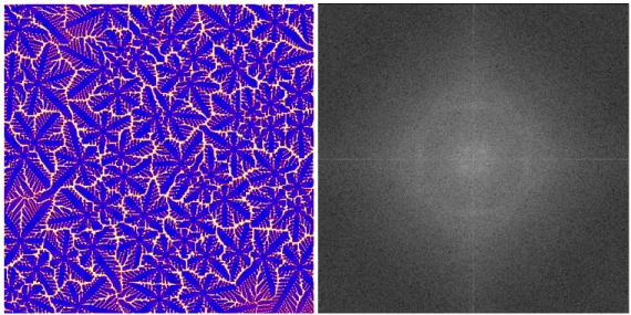 Figure 1 – Initial phase field image and its FFT transform 
