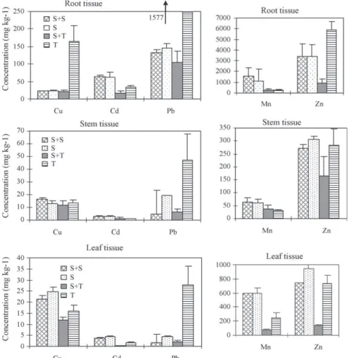 Fig. 1. Total metal concentrations in the root, stem, and leaf tissues of Vicia Faba L