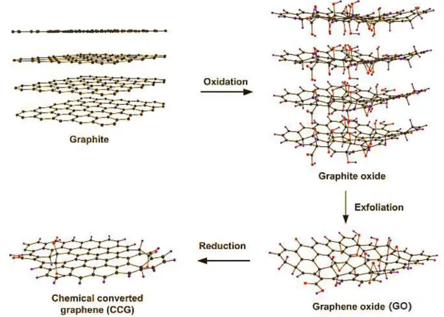 Figure 1.6: The oxidation-exfoliation-reduction process used to generate individual sheets of  chemical converted graphene from graphite [97]