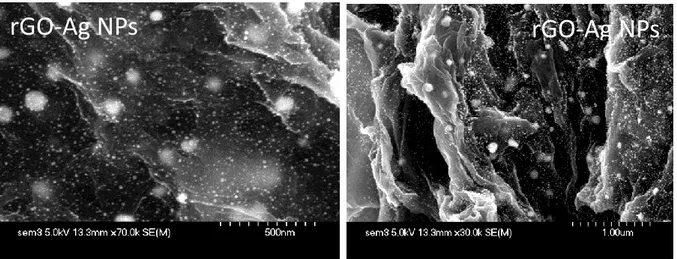 Figure 2.13: SEM images of rGO/Ag NPs after reaction of rGO/Arg with silver nitrate for 10  min at 100°C