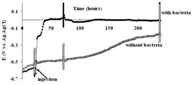 Figure 1 Open circuit potential versus time in the absence and presence of G. sulfurreducens