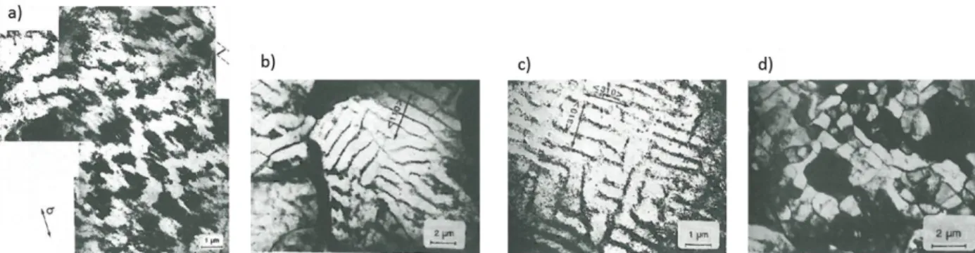 Figure 1-24 : Microstructure evolution of a low-alloyed ferritic polycrystalline steel subjected to cyclic loading in the high  temperature regime (a) matrix structure (b) walls (c) labyrinth (d) cells [ROV91] 