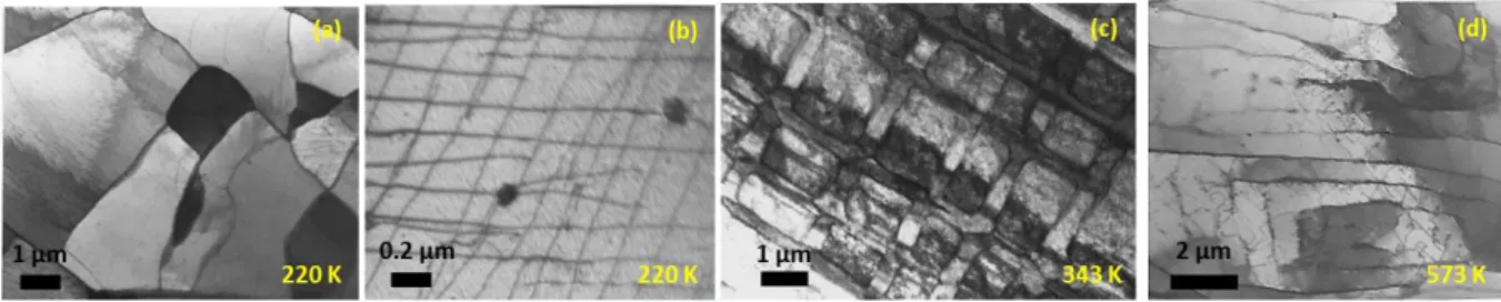 Figure 1-26 : Evolution of the dislocation structures in carburised   -iron with cyclic loading according to the temperature  (a) cell structure and (b) long screw dislocations in the cell interiror (c) PSB (d) wall and labyrinth structures [SOM98] 