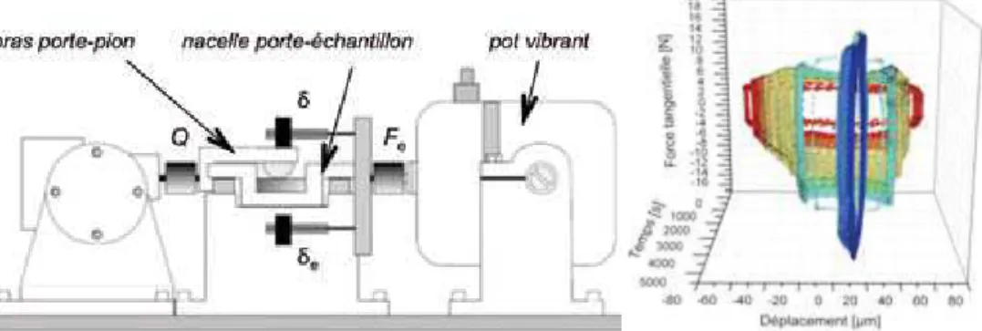 Fig. 1  (a) Dispositif de fretting à débattements libres : position des capteurs de force et de  déplacement en entrée (F e ,   e ) et en sortie (Q,  ) du contact, (b) évolution des cycles de fretting au  cours d’un essai conduisant au grippage : lorsque l