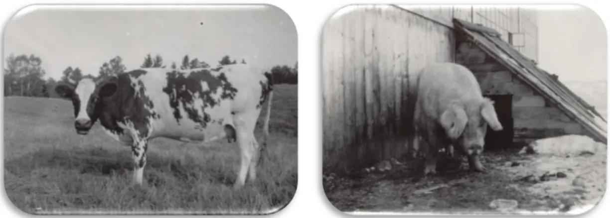 Figure 11 Notre brave « Arshire », MM, Chicoutimi, 1941, L007_1b-12.  
