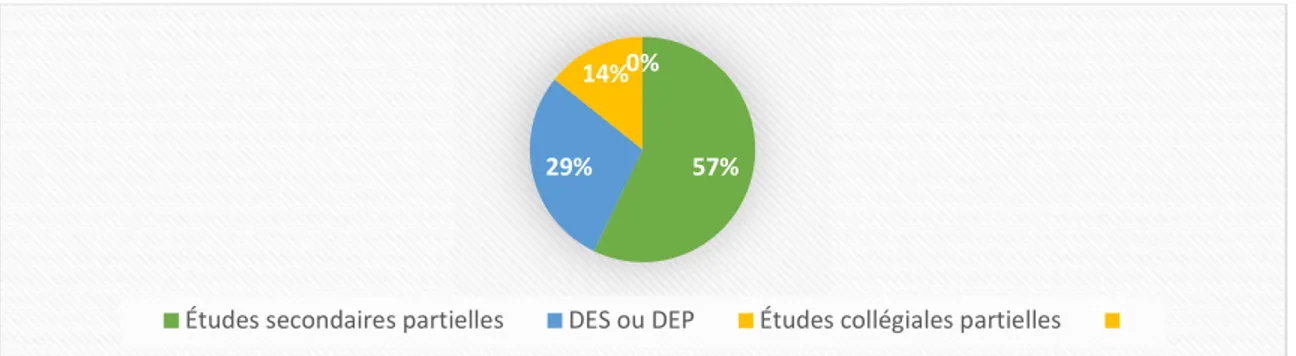 Figure 3. Plus haut niveau de scolarité atteint 