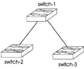 Figure 2.1:  A simple C!uster  of switches in the same VLAN.  The links are VLAN  trunks