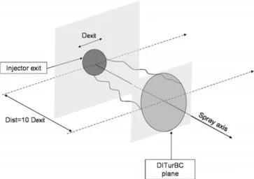 Fig. 1. Schematic representation of the DITurBC model.