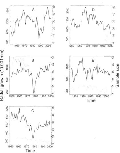 Figure  1.2  Average  chronologies  for  live  (black  1ine)  and  dead  (grey  line)  tree  growth  series  (19S0-end  of series)  and  sample  size  of dead  individu aIs  (dotted  line)