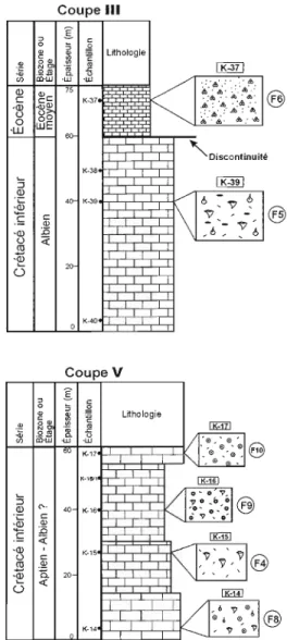 Fig,  2,  - Li/h%gy (facie.\)  and s/ratigraphy ofthe  sections l,  JI,  111,  /Vand V (Ku/maka massif)