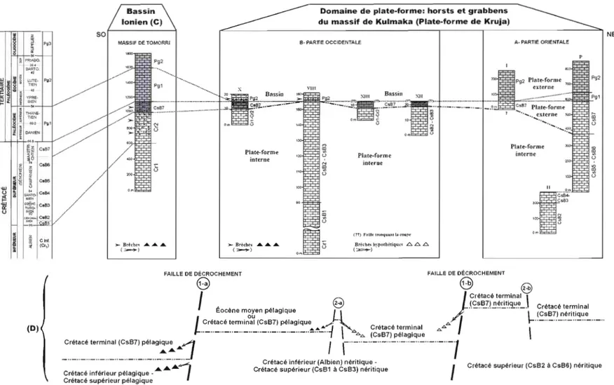 Fig. 6.  - Corrélation biostratigraphique enlre les cOllpes du massif de Kulmaka (plate-forme de Kruja, A et B) et celle de la  panie orientale du  Bassin  Ionien (massif de Tomorri,  C)