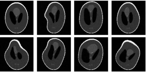 Figure 6.12: Simulated example: seven deformed and noisy images of the Shepp-Logan phantom (out of a sample of 20 images)