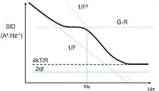 Figure 2-2 : Différentes sources de bruit possibles en basse fréquence dans un composant