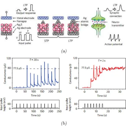 Figure 1.19: STP and LTP implementation in an ECM ell depending on input pulse