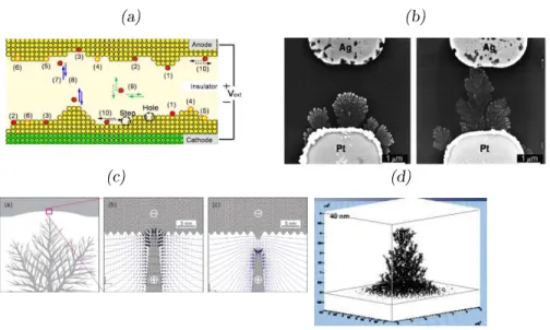 Figure 2.15: Simulation Modeling. (a)Proesses desribed by the KMC simulation of