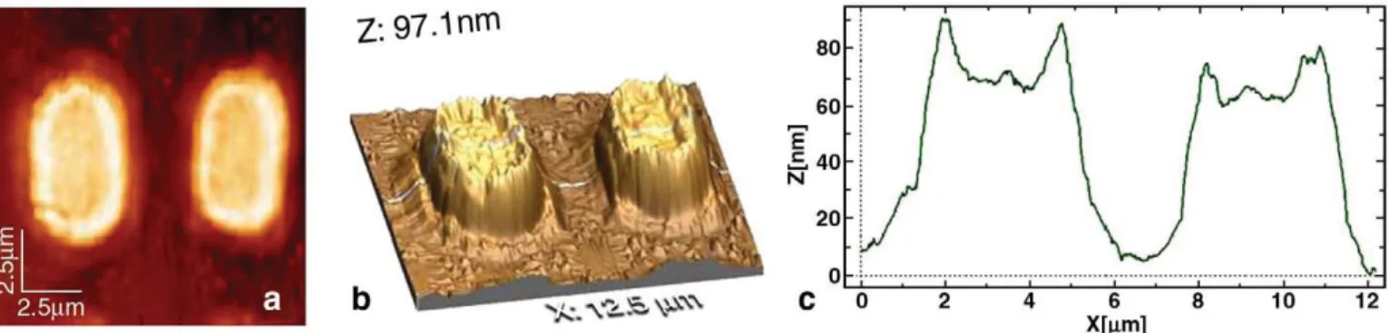 Fig. 1b is a SEM picture of the smallest hole made in the stencil mask.