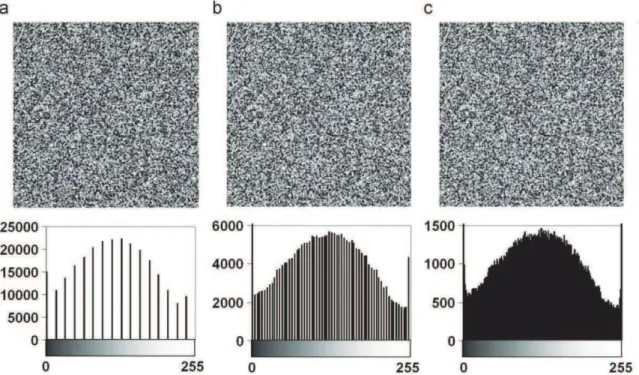 Fig. 2. 4-bit (a), 6-bit (b) and 8-bit (bit) reference images and grey-level histogram.