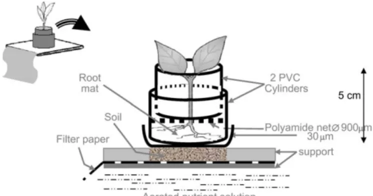 Fig. 1. Microculture device.