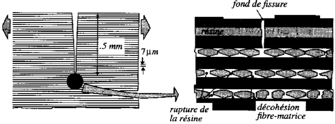 Figure 1-2 : Phénomène de relaxation de contraintes en pointe de coupure dans les  composites [Gay97] 