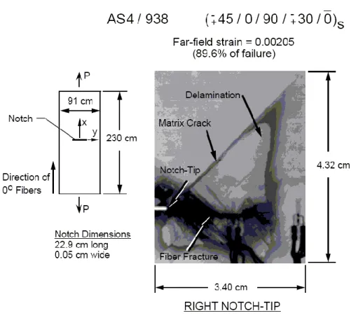 Figure 1-3 : Observation par radiographie du dommage en pointe de coupure sur une  éprouvette CNT à 90% de la charge à rupture statique [Coats98] 